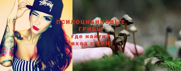 прущая мука Абаза