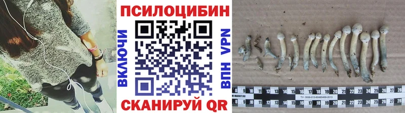 ОМГ ОМГ tor  Заринск  Псилоцибиновые грибы мицелий 